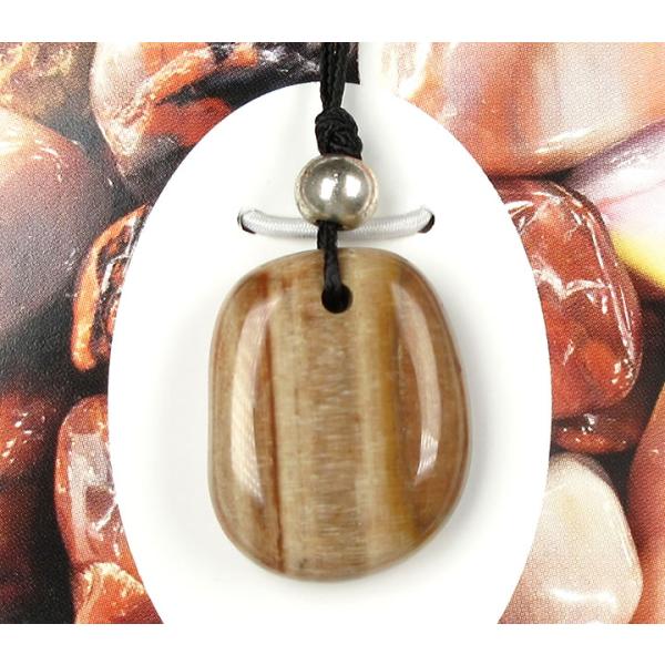 ペトリファイドウッド コードペンダント 6.5g H&amp;E社証明書付 最も高いレベルへのトランスフォー...