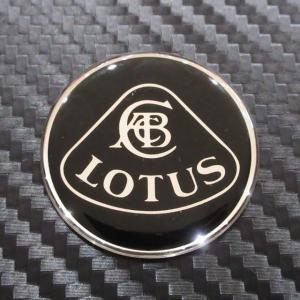 LOTUS ロータス レターズ エンブレム : AC MINDS AUTOJUMBLE - 通販