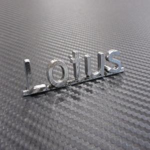 ロータス LOTUS ホーンプッシュ MOMO モモ用 : AC MINDS AUTOJUMBLE