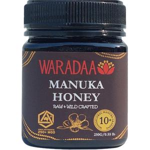 訳あり)コサナ マヌカハニー MGO100+ ( 250g )/ コサナ : 爽快ドリンク