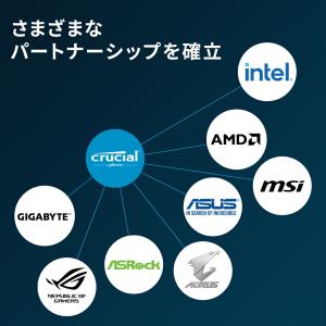 16GB DDR5-5600 UDIMM CL...の詳細画像2