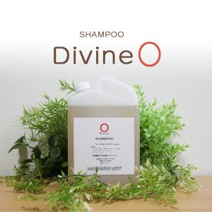 ディバイン ナノ シャンプー U2 1000ml ノンシリコンシャンプー