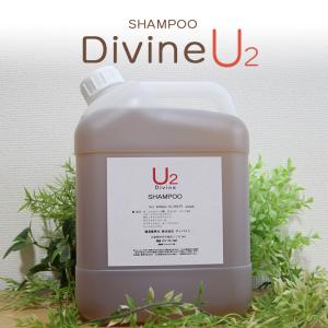 ディバイン ナノ シャンプー U2 1000ml ノンシリコンシャンプー