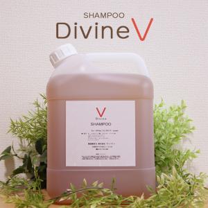 ディバイン ナノ シャンプー V 1000ml ノンシリコンシャンプー