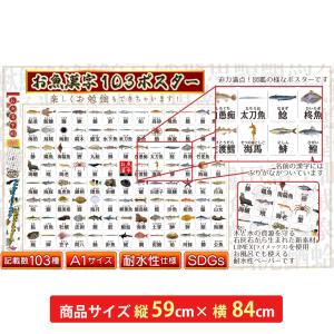 お魚漢字103種類 ポスター お風呂 A1サイズ 日本製 国産
