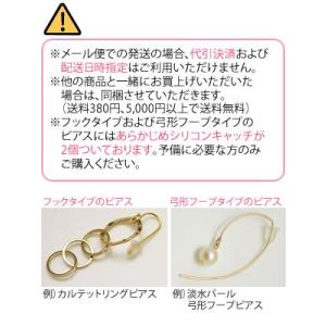 ピアス用 シリコンキャッチ ※単独購入時は宅配便不可の詳細画像2