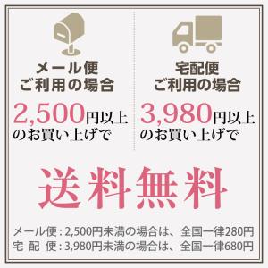 ピアス用 シリコンキャッチ ※単独購入時は宅配便不可の詳細画像3