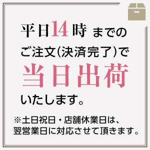 ピアス用 シリコンキャッチ ※単独購入時は宅配便不可の詳細画像4