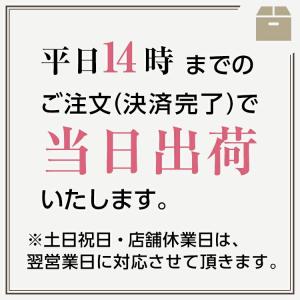 イヤリング カバー シリコン ネジバネ式用 1...の詳細画像5