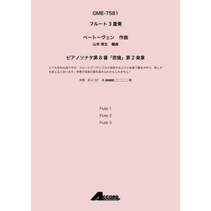 送料無料 吹奏楽楽譜 佐々木邦雄編：ディキシー・オン・スーザ