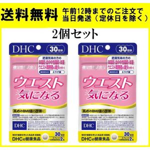 DHC ウエスト気になる 30日分 60粒 2個セット サプリメント 体脂肪 中性脂肪 体重