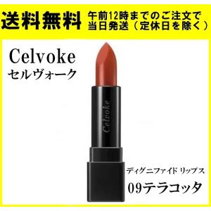 セルヴォーク Celvoke ディグニファイド リップス 10g 09 テラコッタ