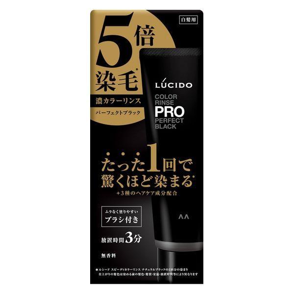 (株)マンダム ルシード (LUCIDO) カラーリンスPRO パーフェクトブラック 120g