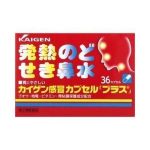 《カイゲン》 カイゲン感冒カプセルプラス 36カプセル 【指定第2類医薬品】 (風邪薬)｜ace