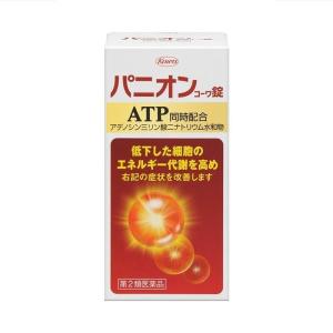 《興和》 パニオンコーワ錠 (90錠) 【第2類医薬品】｜ace