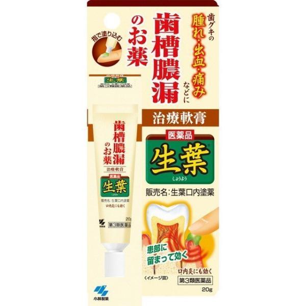 【第3類医薬品】小林製薬(株) 生葉口内塗薬 20g (歯科口腔用薬)