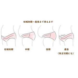 レディースショーツまとめ買い対象 ローライズ ...の詳細画像5