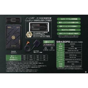 長信ジャパン GB-POWER GFX-BL(...の詳細画像4