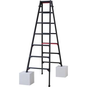 ALINCO アルインコ 2連はしご(ハンディロック式) ANP-40B 全長 ALINCO アルインコ 2連はしご(ハンディロック式) ANP-40B 全長