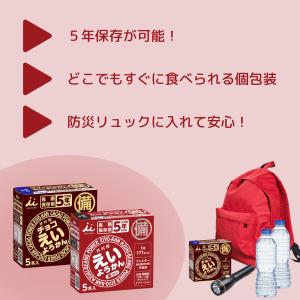 えいようかん チョコえいようかん 井村屋 非常...の詳細画像1