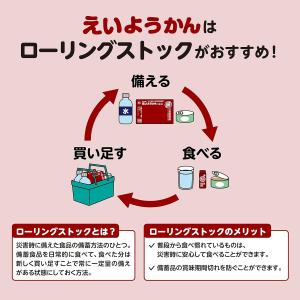 えいようかん チョコえいようかん 井村屋 非常...の詳細画像3