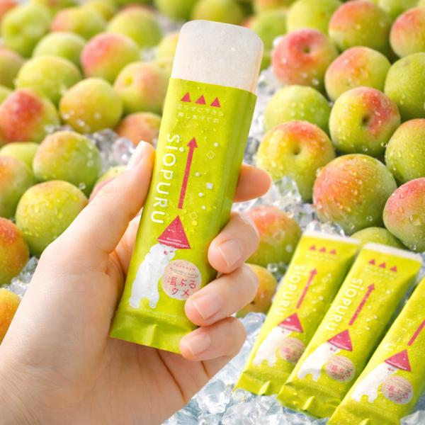 井村屋 ワンプッシュゼリー 塩ぷるウメ 15g 24本 360g 塩ぷる梅 熱中対策 梅 ぬちまーす...
