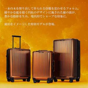 エース公式 スーツケース キャリーケース Lサ...の詳細画像3