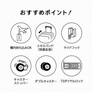 エース公式 スーツケース キャリーケース 機内...の詳細画像1