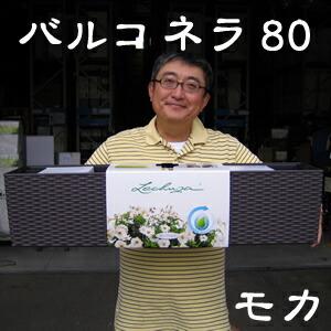 【送料・代引手数料無料】ドイツ製植木鉢　室内、屋外でも使える底面給水型軽量プランター　【レチューザ・...