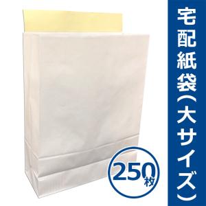 宅配紙袋 白色 大サイズ Lサイズ 50枚 テープ付き 厚手120g 日本製