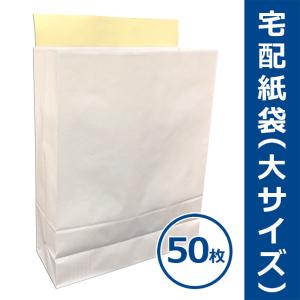 宅配袋 梱包用袋（小サイズ）250枚 無地 白色 横260mm×奥行（マチ