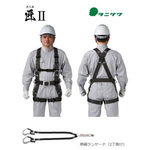 フルハーネス+ランヤードセット 新規格対応 墜落...の商品画像