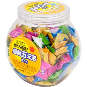 2024年最新入荷 ランドアート塩飴五兄弟ポット 600g 約150粒 5種詰め合わせ 塩飴 熱中症対策 登山 熱中症対策グッズ 建設 工場 現場｜acetech