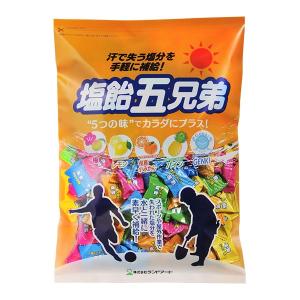 2024年最新入荷 ランドアート 塩飴五兄弟 800g 袋入り 約200粒 塩分補給 塩飴 塩アメ 塩あめ 熱中症対策グッズ 塩飴５兄弟 塩飴5兄弟｜acetech