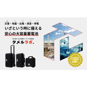 国重ライティング タメルラボ TL-1000Nの詳細画像1