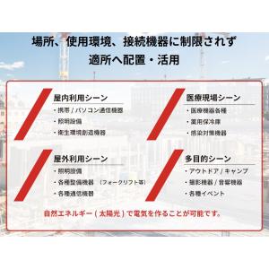 国重ライティング タメルラボ TL-1000Nの詳細画像2