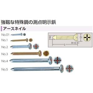 アースネイル No.5 (50本入) L=130...の商品画像