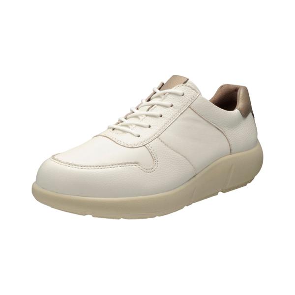 アキレス・ソルボC 528　白