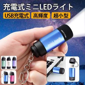 懐中電灯 ミニ懐中電灯 USB充電式ライト 小型 ミニ