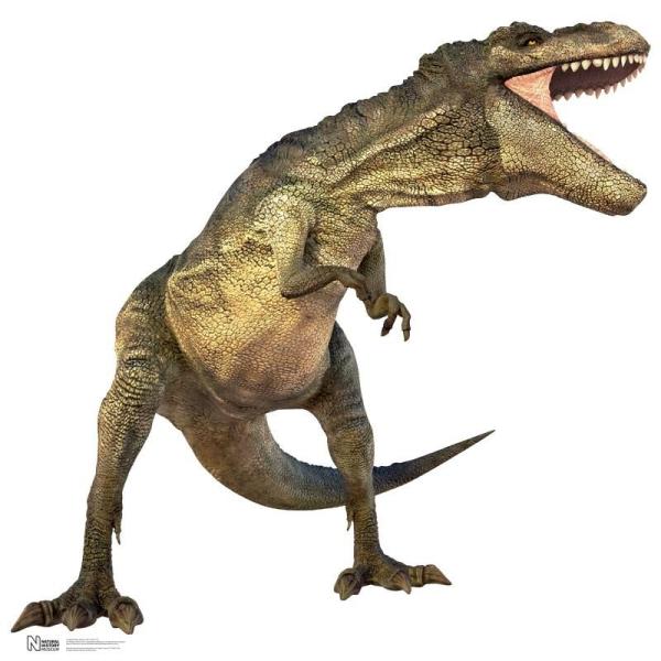 恐竜 段ボール パネル カードボード おもちゃ 部屋 飾り デコレーション ティラノサウルス