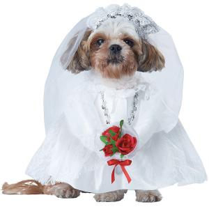 ウェディングドレス 犬服 犬用 ペットドレス コスプレ 衣装 花嫁 ブライダル 年賀状 戌年 結婚式｜acomes