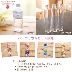 ハーバリウム キット 花材 手作り 【Aタイプ】ハーバリウムお試しキット（オイル1本、ガラス瓶2本、花材セット2種類） 送料無料