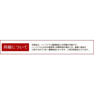 ハーバリウム キット ロングピンセット ピンセ...の詳細画像5