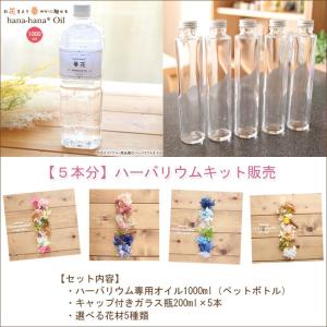 ハーバリウム キット 花材 手作り 【17％OFF】【5本分】ハーバリウムお試しキット【Aタイプ】（オイル1本、ガラス瓶5本、花材セット5種類）｜ハーバリウム花材のお店AcornStyle