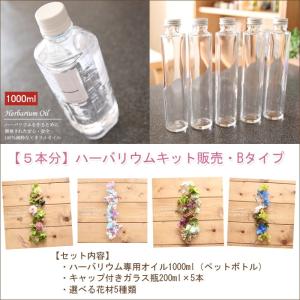 ハーバリウム キット 花材 手作り【5本分】ハーバリウムお試しキット・Bタイプ（オイル1本、ガラス瓶5本、花材セット5種類） 送料無料