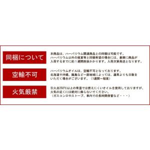 ハーバリウム キット 花材 手作り【5本分】ハ...の詳細画像5