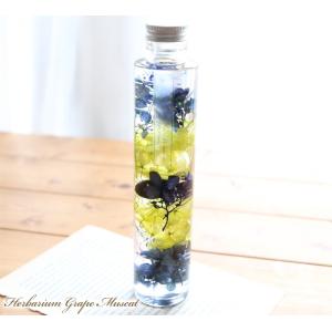 ハーバリウム グレープ＆マスカット - Grape Muscat - 【完成品】 オリジナル 母の日 誕生日 プレゼント 敬老の日 新築祝い ギフト 植物標本 送料無料