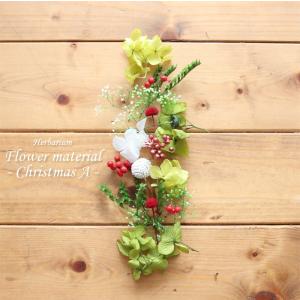 クリスマス Xmas ハーバリウム キット 手作り スターターキット 花材 【クリスマス】ハーバリウム花材セット１本分（クリスマスA）