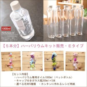 ハーバリウム キット 花材 手作り【5本分】ハーバリウムお試しキット【Eタイプ】（オイル1本、ガラス瓶5本、花材セット5種類）