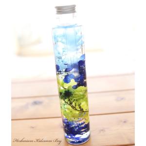 ハーバリウム キッズルーム - Boy - 【完成品】 男の子 オリジナル 母の日 誕生日 プレゼント 敬老の日 新築祝い ギフト 植物標本 送料無料 子供 キッズ